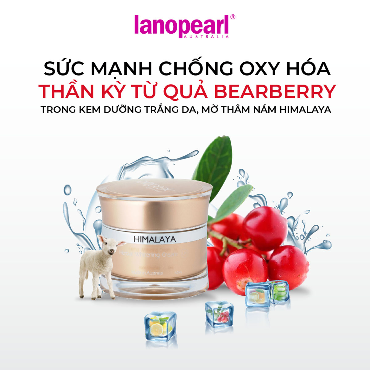Kem Dưỡng Trắng Da Và Làm Mờ Vết Thâm Nám Himalaya Lanopearl